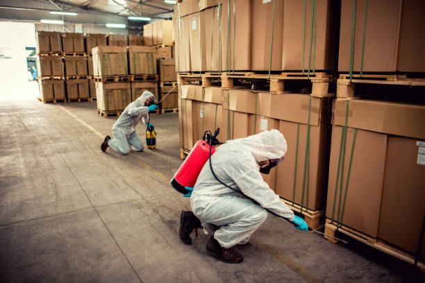 Best Bed Bug Extermination  in Black Rock, NM