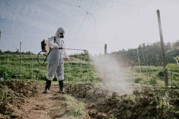 Best Best Pest Control Companies  in Black Rock, NM
